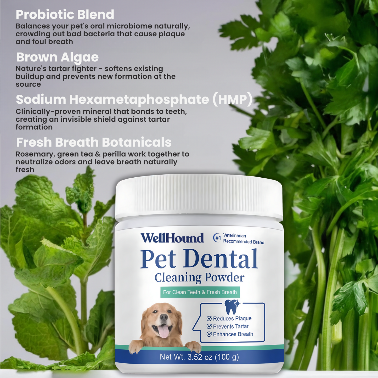 Dental Cleaning Powder